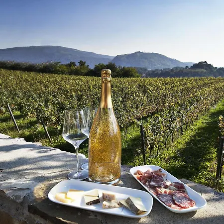 Podere Castel Merlo Ośrodek wypoczynkowy Villongo SantʼAlessandro
