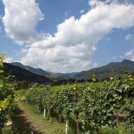 Podere Castel Merlo Ośrodek wypoczynkowy 4*