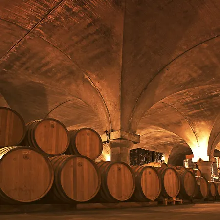 Podere Castel Merlo Resort Villongo SantʼAlessandro