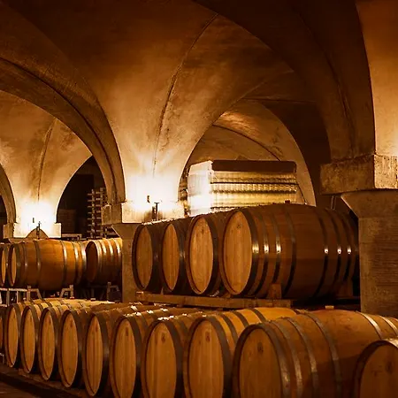 Resort Podere Castel Merlo Villongo SantʼAlessandro
