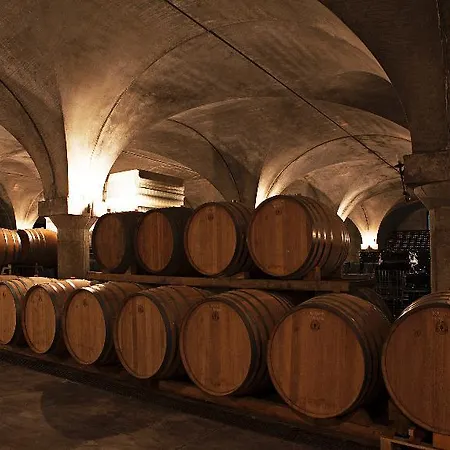 Resort Podere Castel Merlo 4*