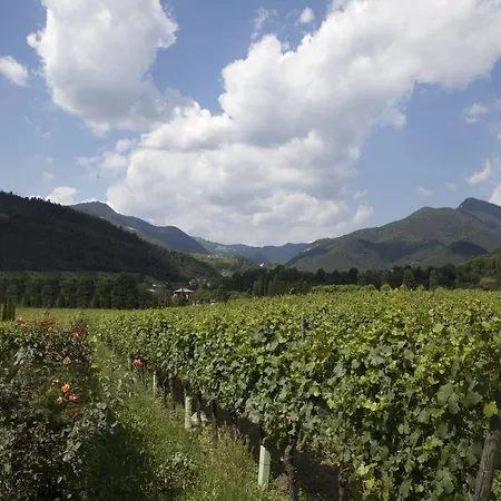 Podere Castel Merlo Resort 4*